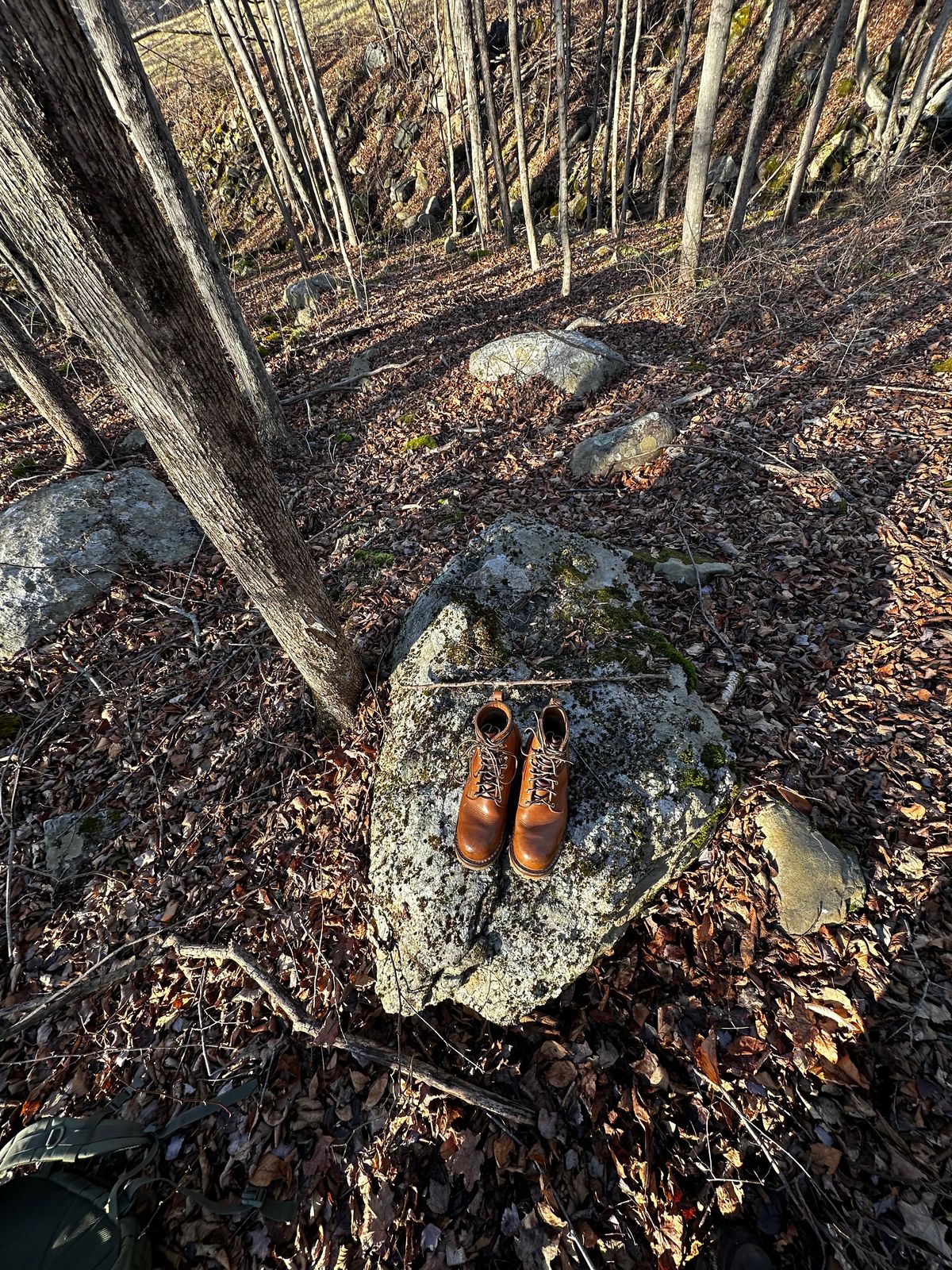 Photo by P2K on January 1, 2024 of the Nicks DomePro in Seidel 1964 Tan.