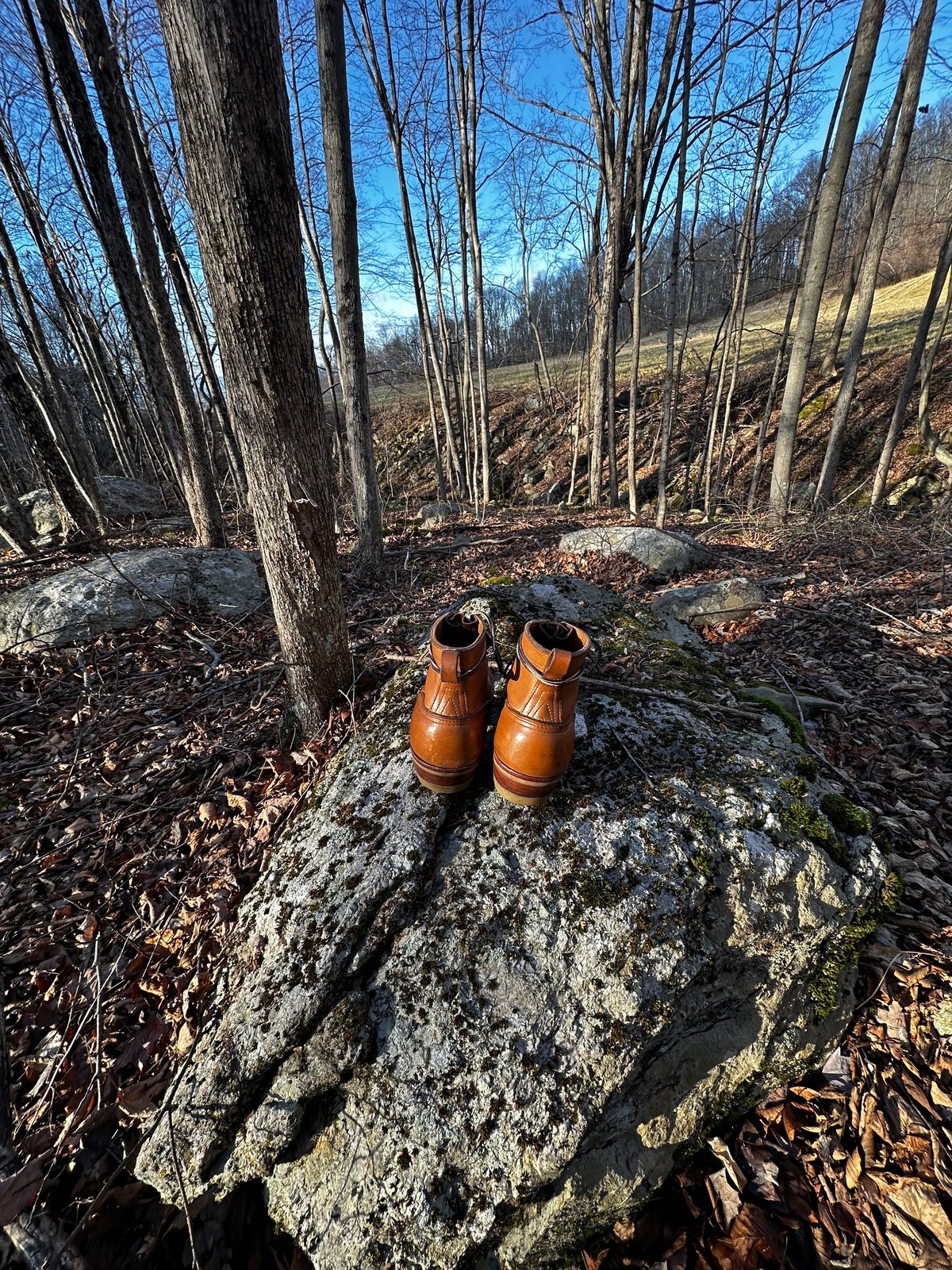 Photo by P2K on January 1, 2024 of the Nicks DomePro in Seidel 1964 Tan.