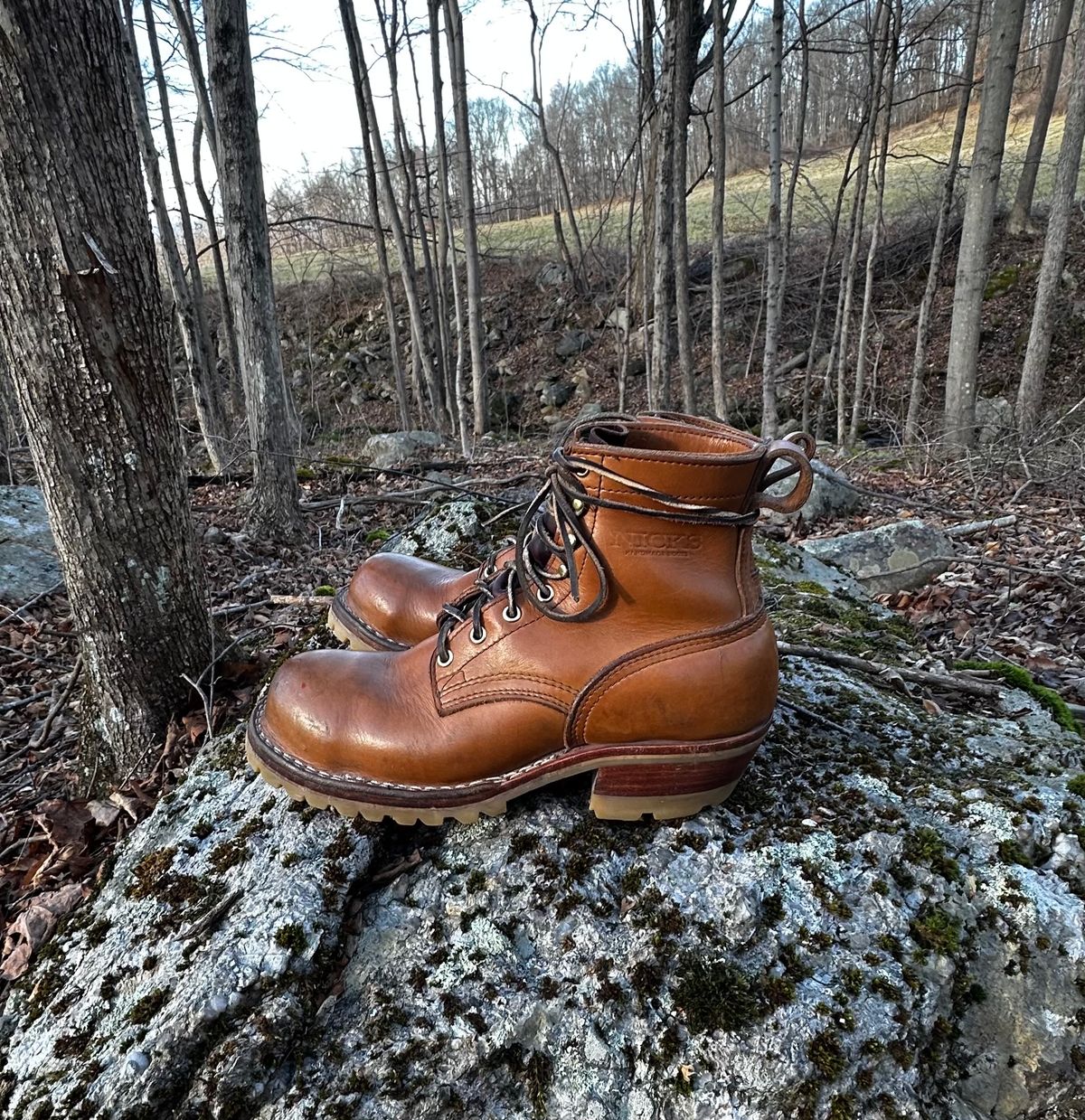 Photo by P2K on January 1, 2024 of the Nicks DomePro in Seidel 1964 Tan.