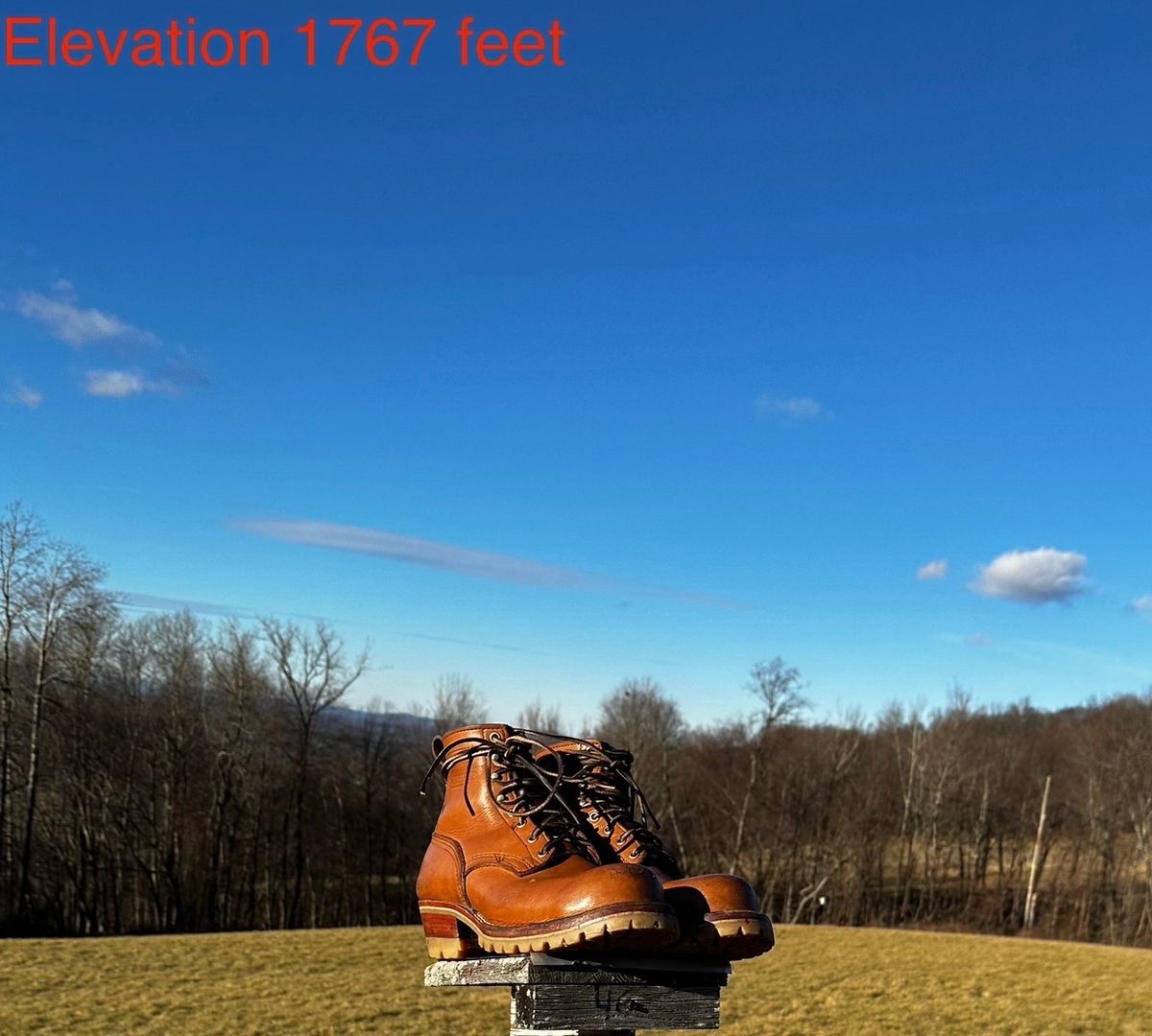 Photo by P2K on January 1, 2024 of the Nicks DomePro in Seidel 1964 Tan.