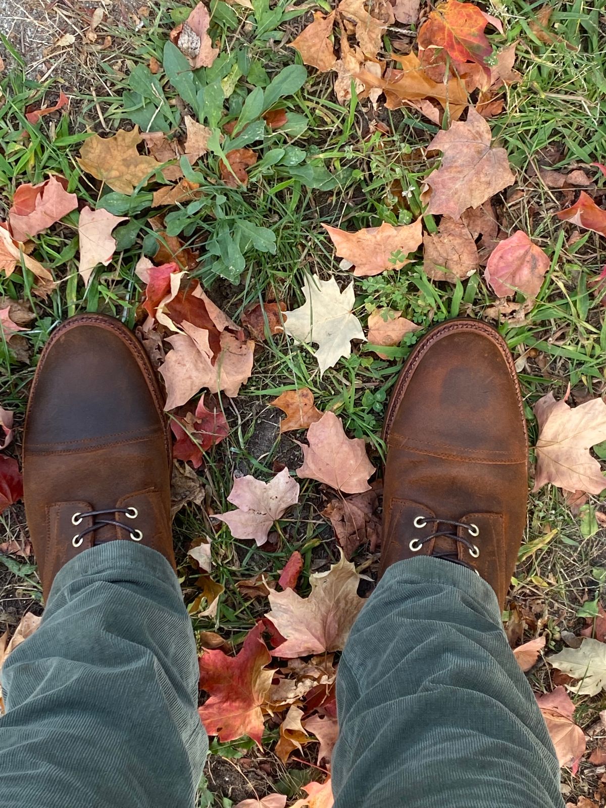 Photo by evknee on October 1, 2023 of the Parkhurst The Richmond in Rust Waxy.