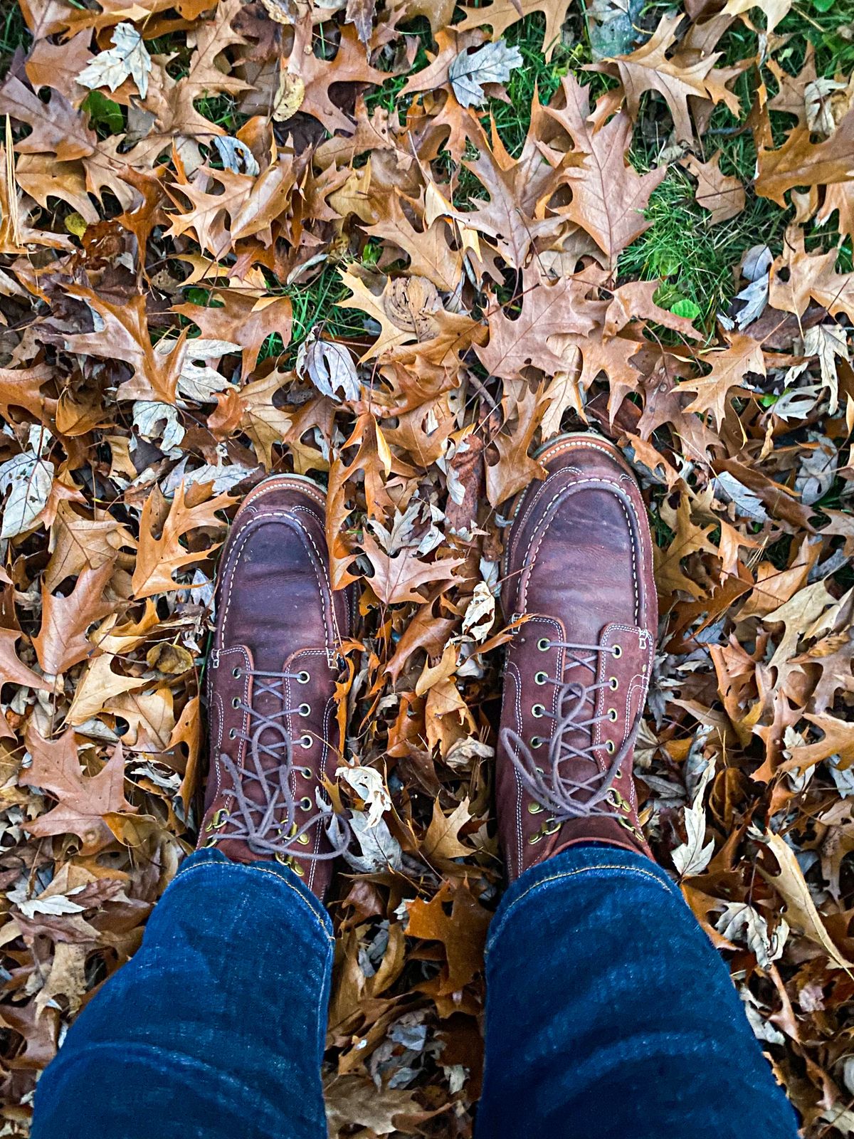 Photo by evknee on November 3, 2022 of the Grant Stone Field Boot in C.F. Stead Dark Burgundy Classic Kudu.