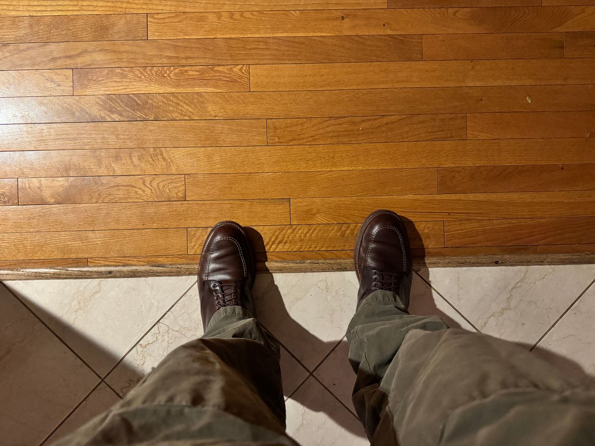 Photo by bigbadboots on October 2, 2025 of the Alden Indy Boot in Horween Brown Chromexcel.
