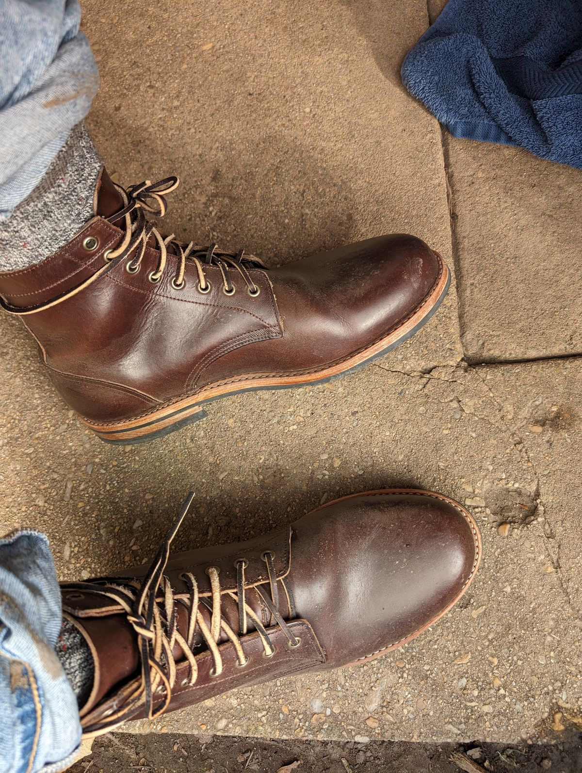 Photo by slough on November 4, 2023 of the Oak Street Bootmakers Trench Boot in Horween Brown Chromexcel.