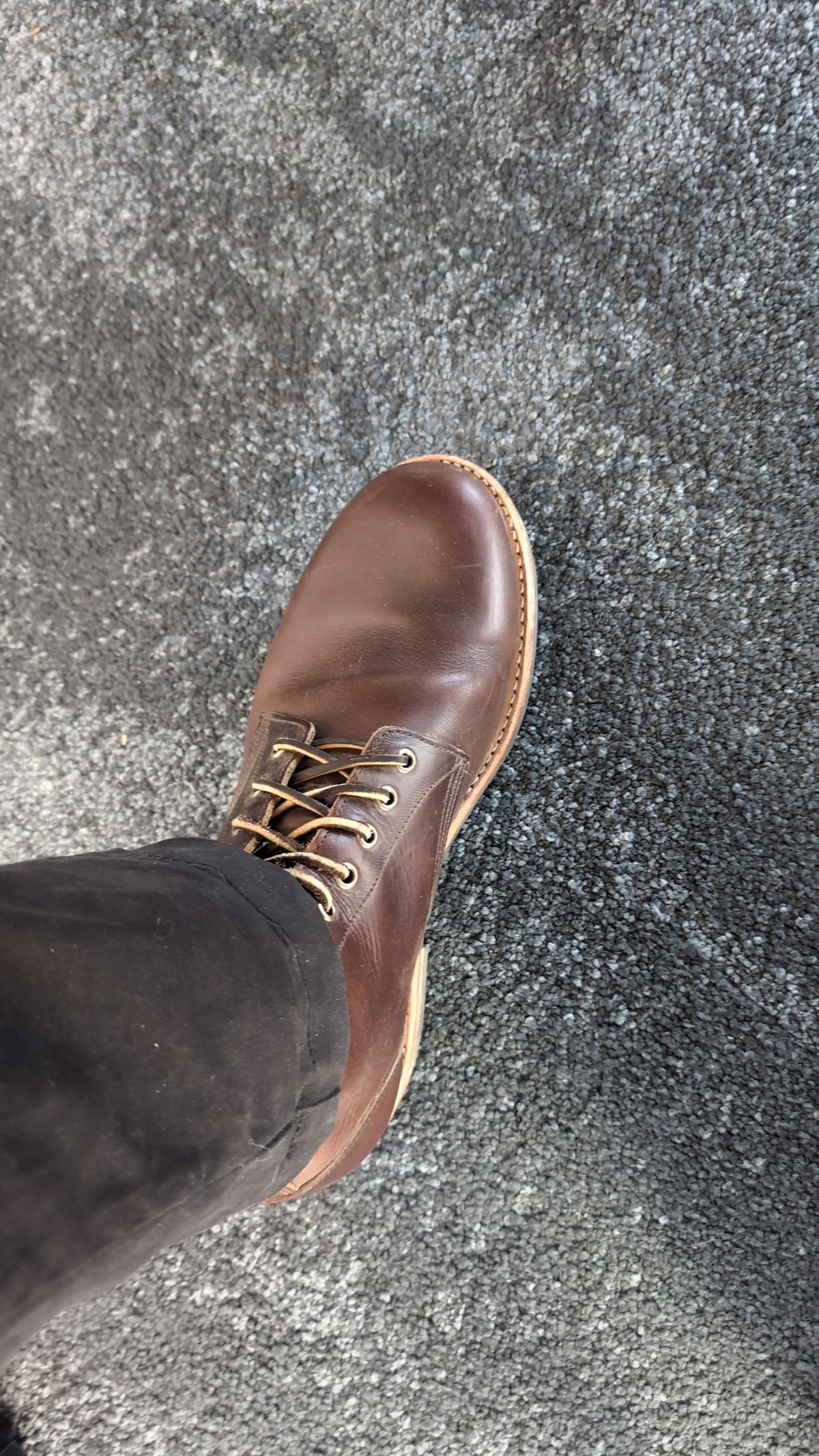 Photo by slough on November 16, 2023 of the Oak Street Bootmakers Trench Boot in Horween Brown Chromexcel.