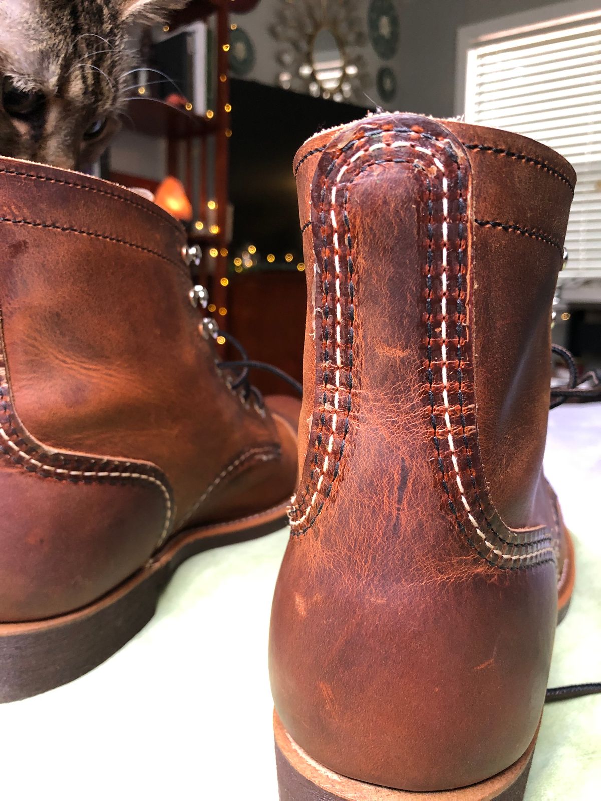 Photo by FrankBeStone on January 26, 2023 of the Red Wing Iron Ranger in S.B. Foot Copper Rough and Tough.