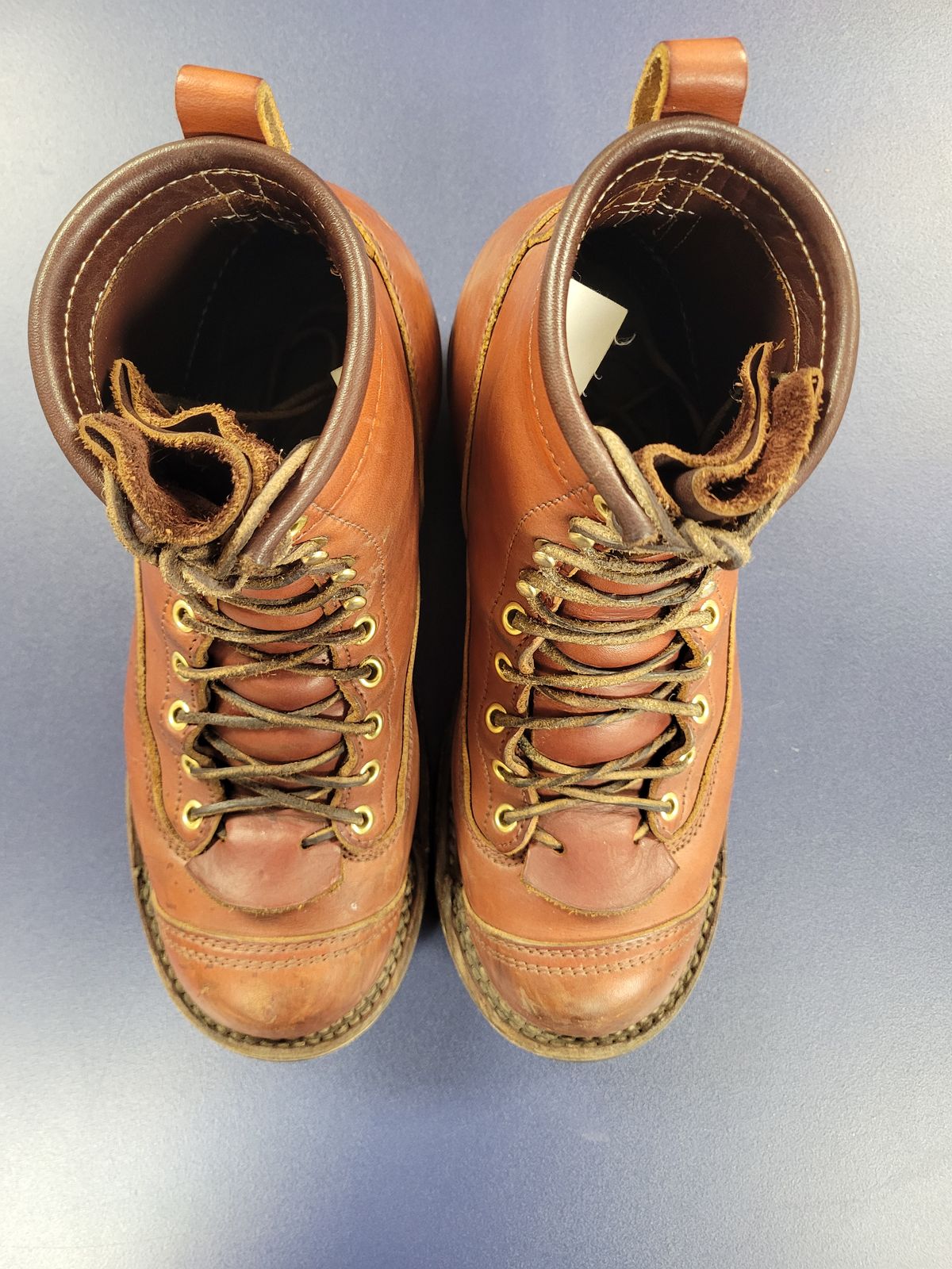 Photo by cherninHVAC on February 6, 2025 of the Frank's Boots Wilshire in Wickett & Craig Chestnut English Bridle.