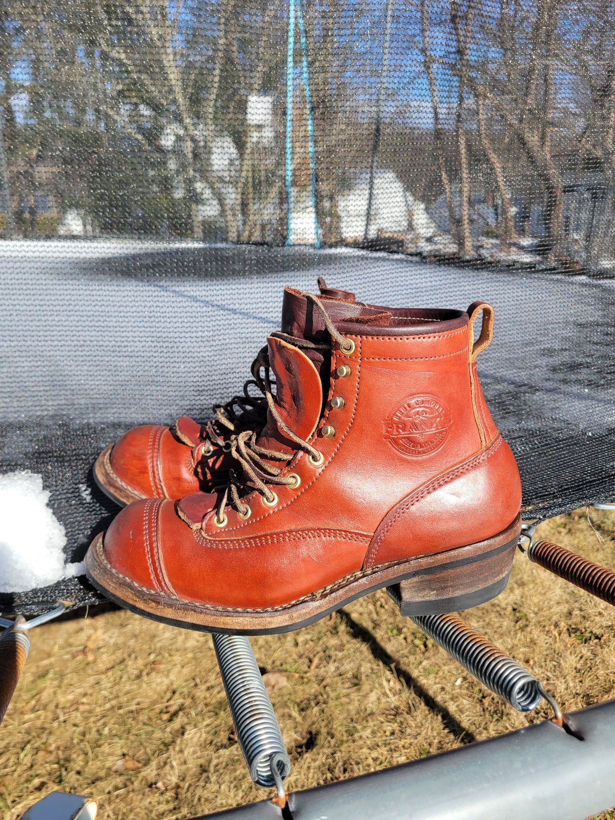 Photo by cherninHVAC on February 7, 2025 of the Frank's Boots Wilshire in Wickett & Craig Chestnut English Bridle.