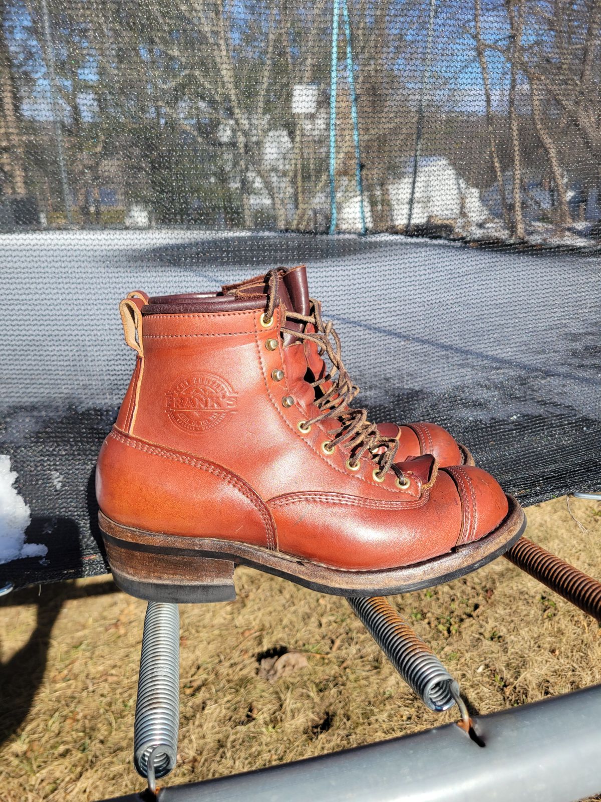 Photo by cherninHVAC on February 7, 2025 of the Frank's Boots Wilshire in Wickett & Craig Chestnut English Bridle.