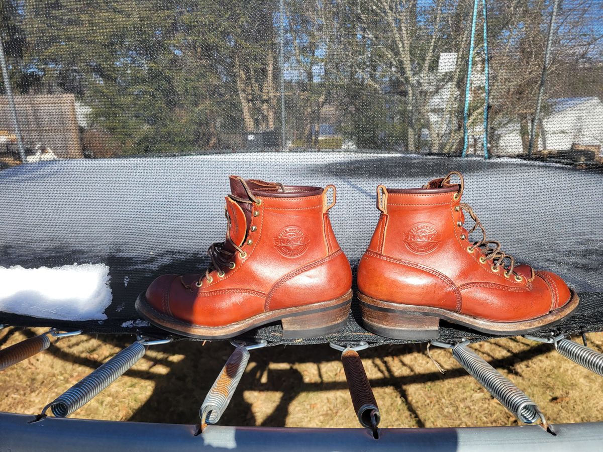 Photo by cherninHVAC on February 7, 2025 of the Frank's Boots Wilshire in Wickett & Craig Chestnut English Bridle.