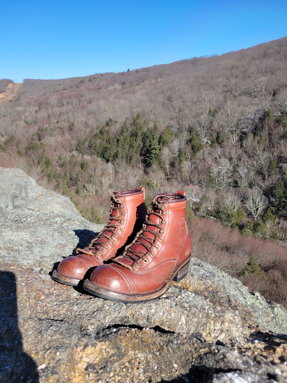 Photo by cherninHVAC on March 2, 2025 of the Frank's Boots Wilshire in Wickett & Craig Chestnut English Bridle.