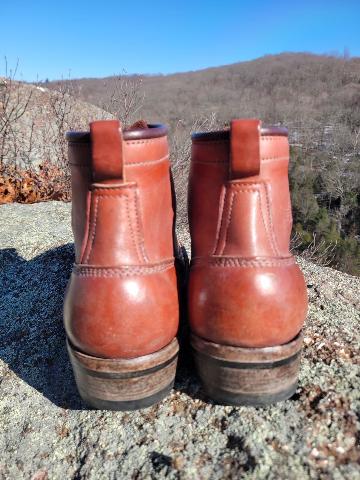 Photo by cherninHVAC on March 2, 2025 of the Frank's Boots Wilshire in Wickett & Craig Chestnut English Bridle.