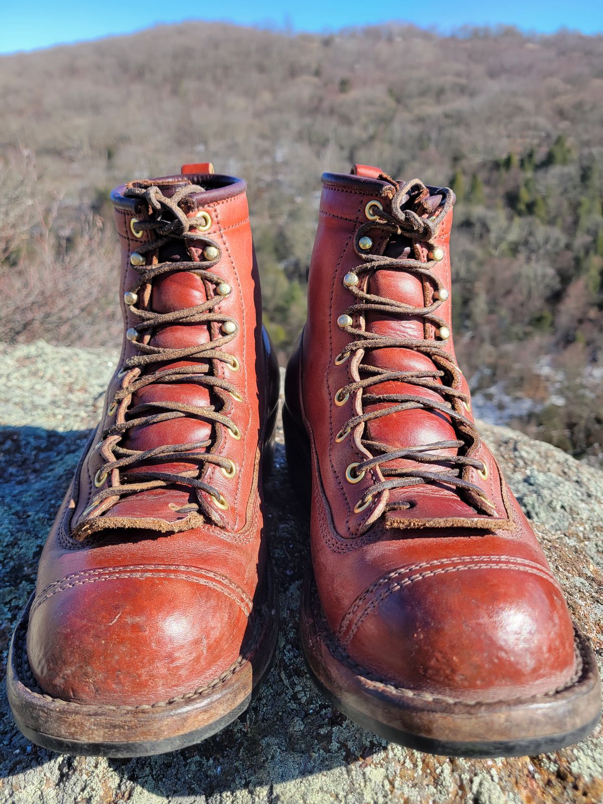 Photo by cherninHVAC on March 2, 2025 of the Frank's Boots Wilshire in Wickett & Craig Chestnut English Bridle.