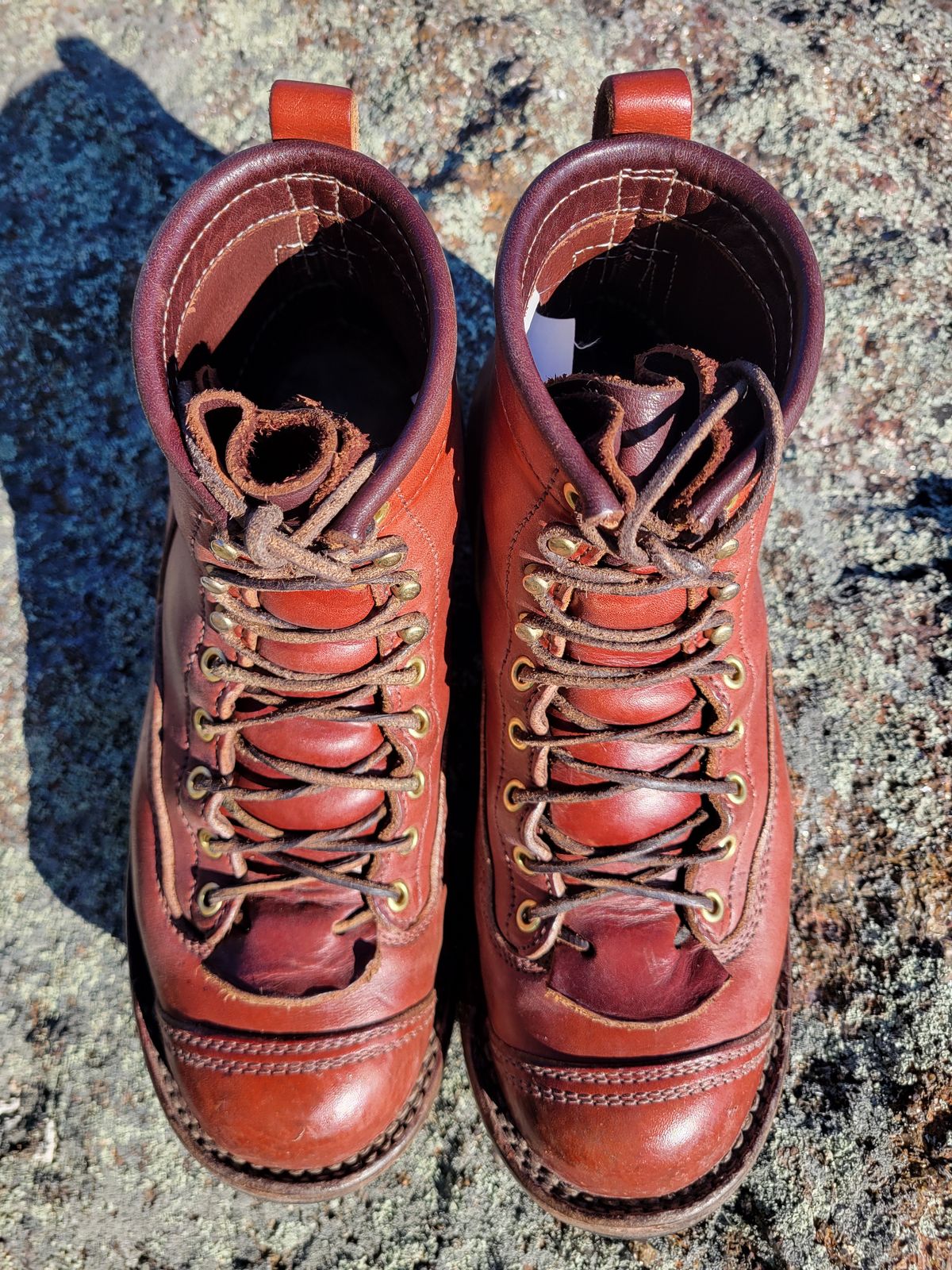 Photo by cherninHVAC on March 2, 2025 of the Frank's Boots Wilshire in Wickett & Craig Chestnut English Bridle.