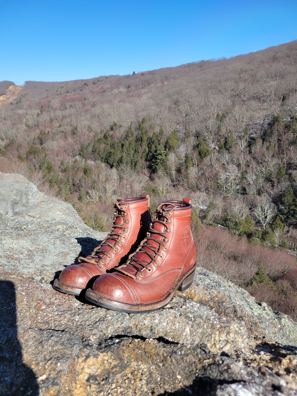 Photo by cherninHVAC on March 2, 2025 of the Frank's Boots Wilshire in Wickett & Craig Chestnut English Bridle.