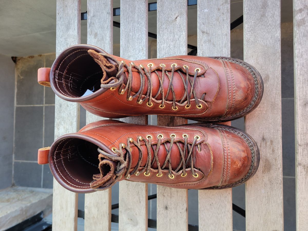 Photo by cherninHVAC on April 4, 2025 of the Frank's Boots Wilshire in Wickett & Craig Chestnut English Bridle.