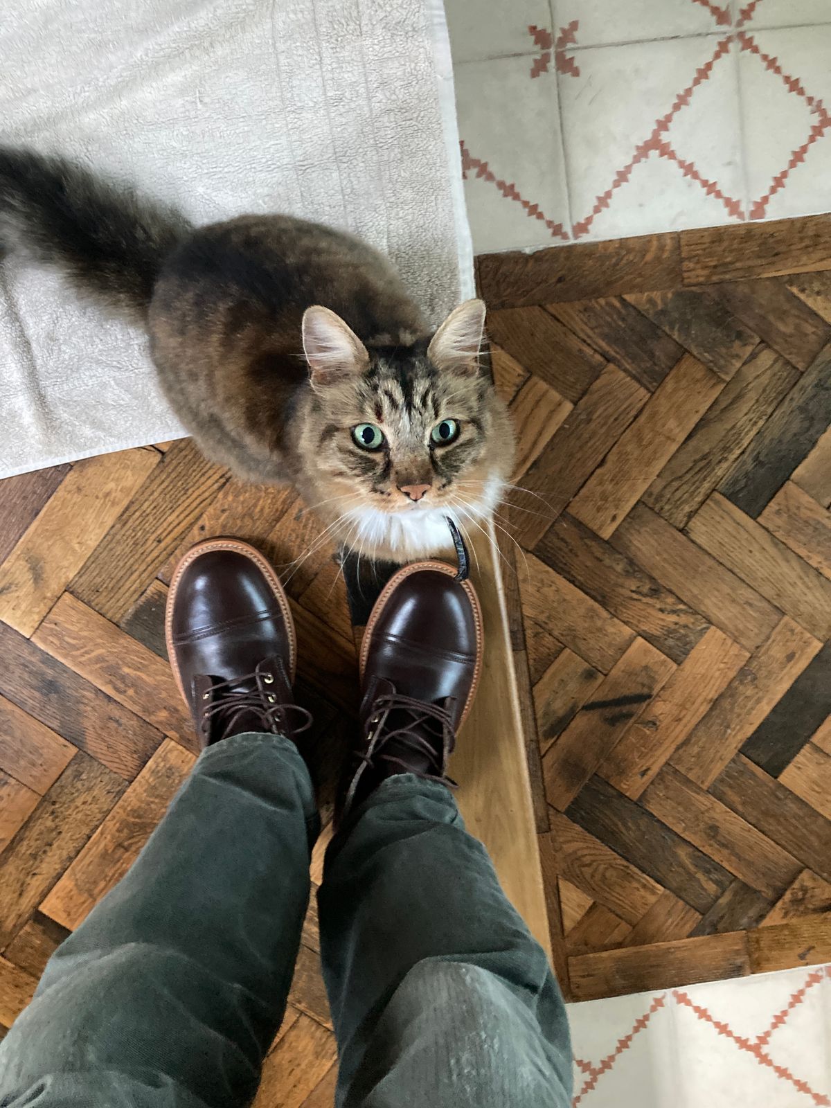 Photo by therattle on October 1, 2022 of the Jakkrabbits Field Boots in Indonesian Dark Brown Pull Up.