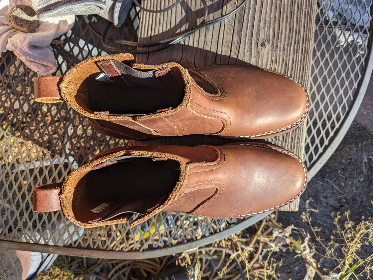 Photo by ninjagin on October 1, 2023 of the Nicks Work Chelsea in Seidel 1964 Brown.