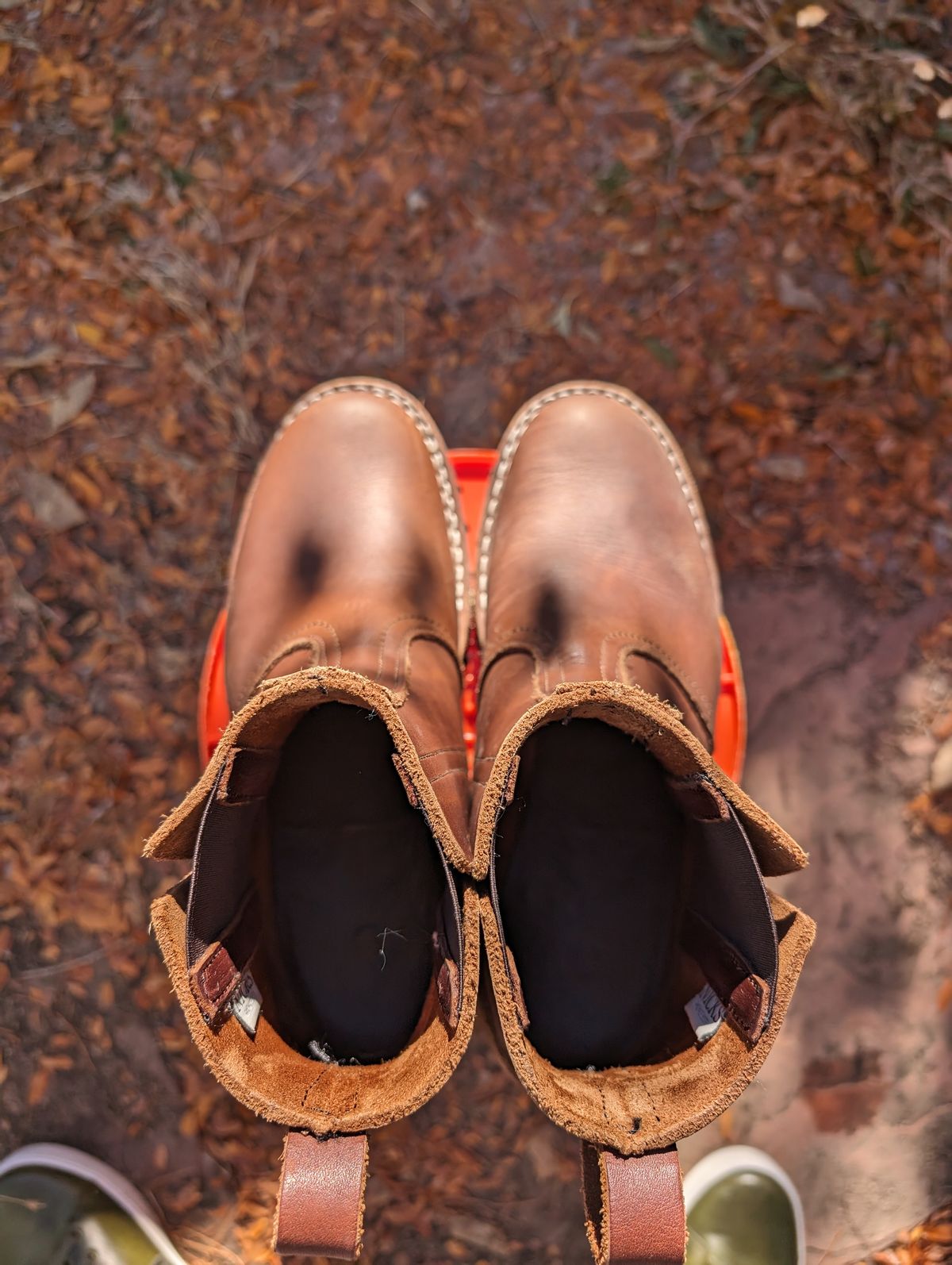 Photo by ninjagin on November 3, 2023 of the Nicks Work Chelsea in Seidel 1964 Brown.