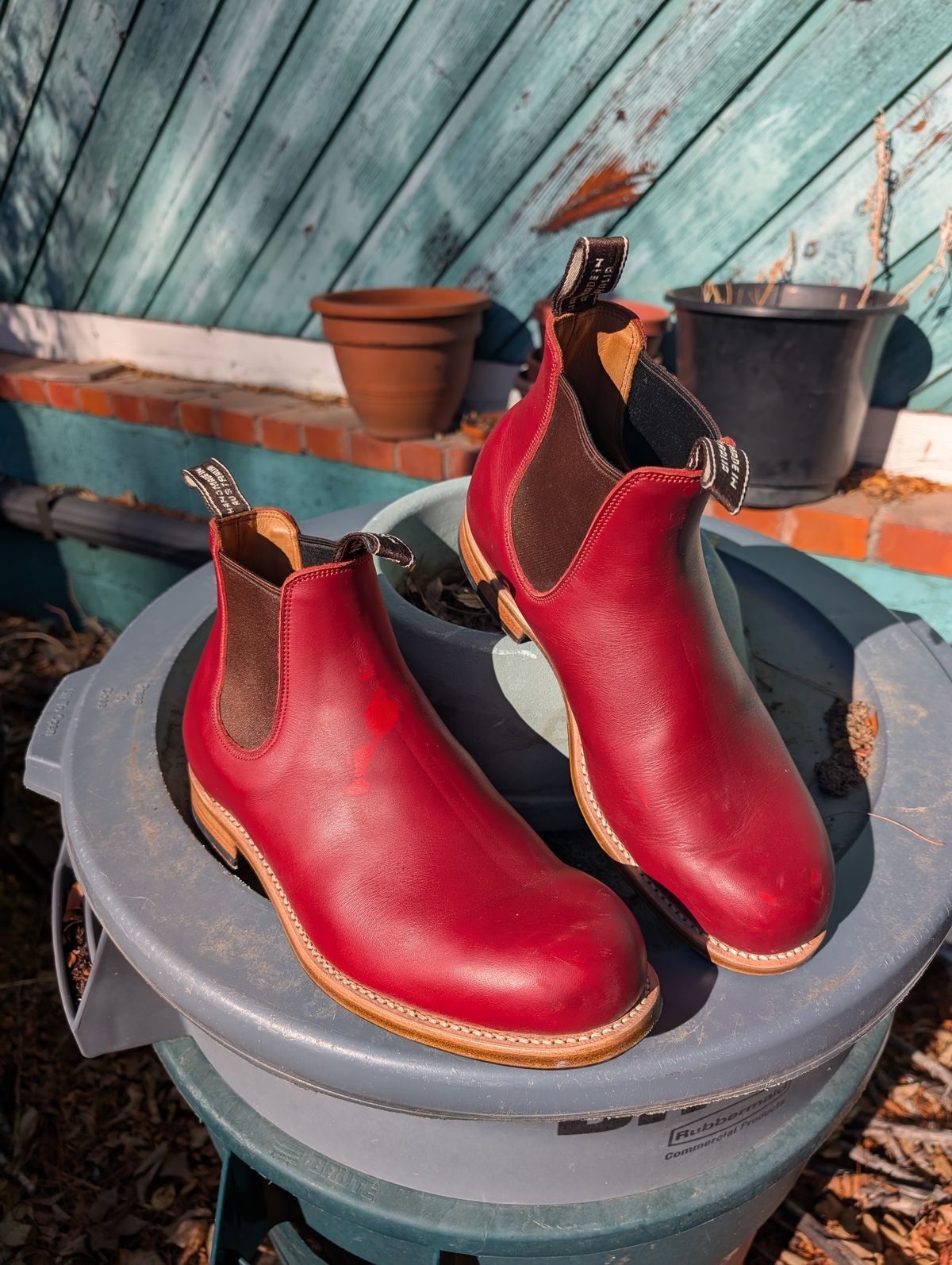 Photo by ninjagin on December 2, 2024 of the Wootten Jack Gusset in Bowden Red.