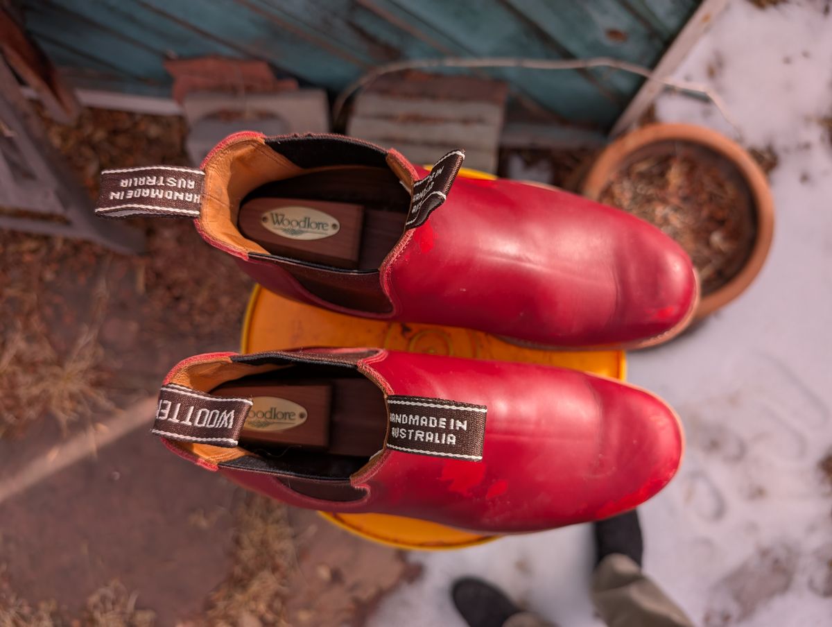 Photo by ninjagin on February 2, 2025 of the Wootten Jack Gusset in Bowden Red.