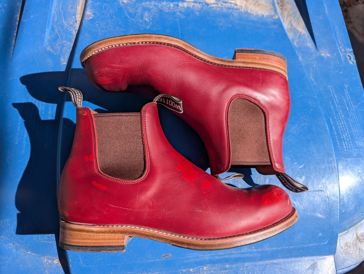 Photo by ninjagin on March 3, 2025 of the Wootten Jack Gusset in Bowden Red.