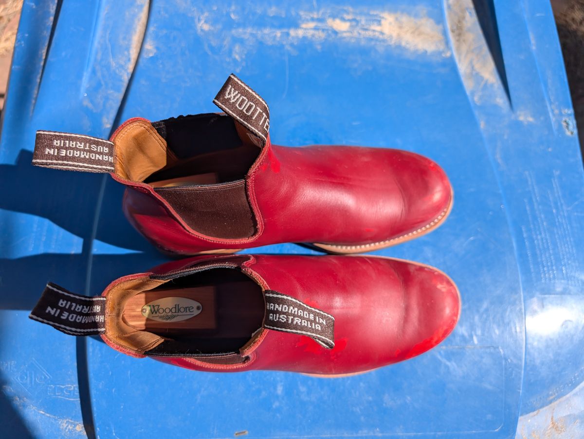 Photo by ninjagin on March 3, 2025 of the Wootten Jack Gusset in Bowden Red.
