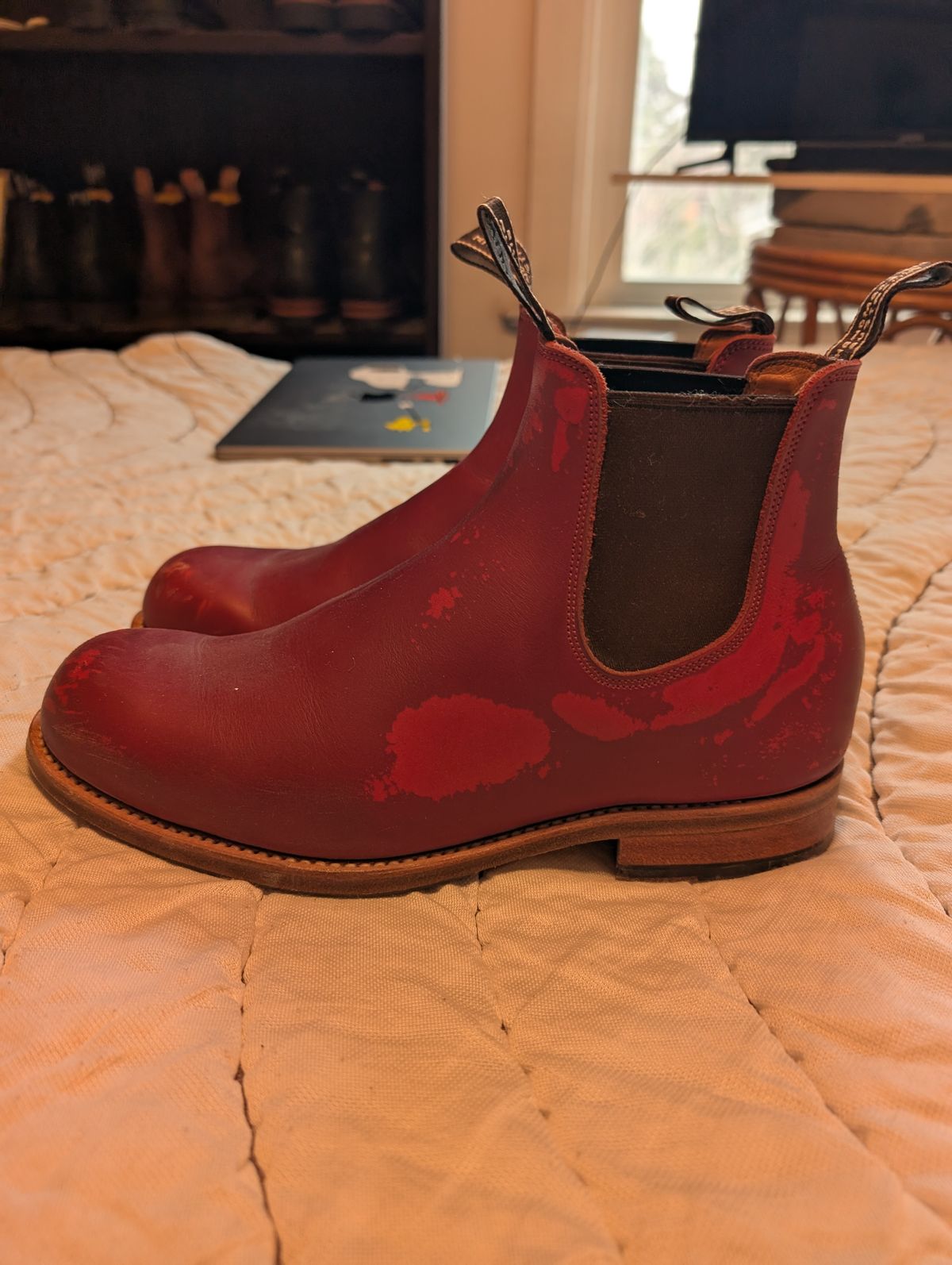 Photo by ninjagin on April 3, 2025 of the Wootten Jack Gusset in Bowden Red.