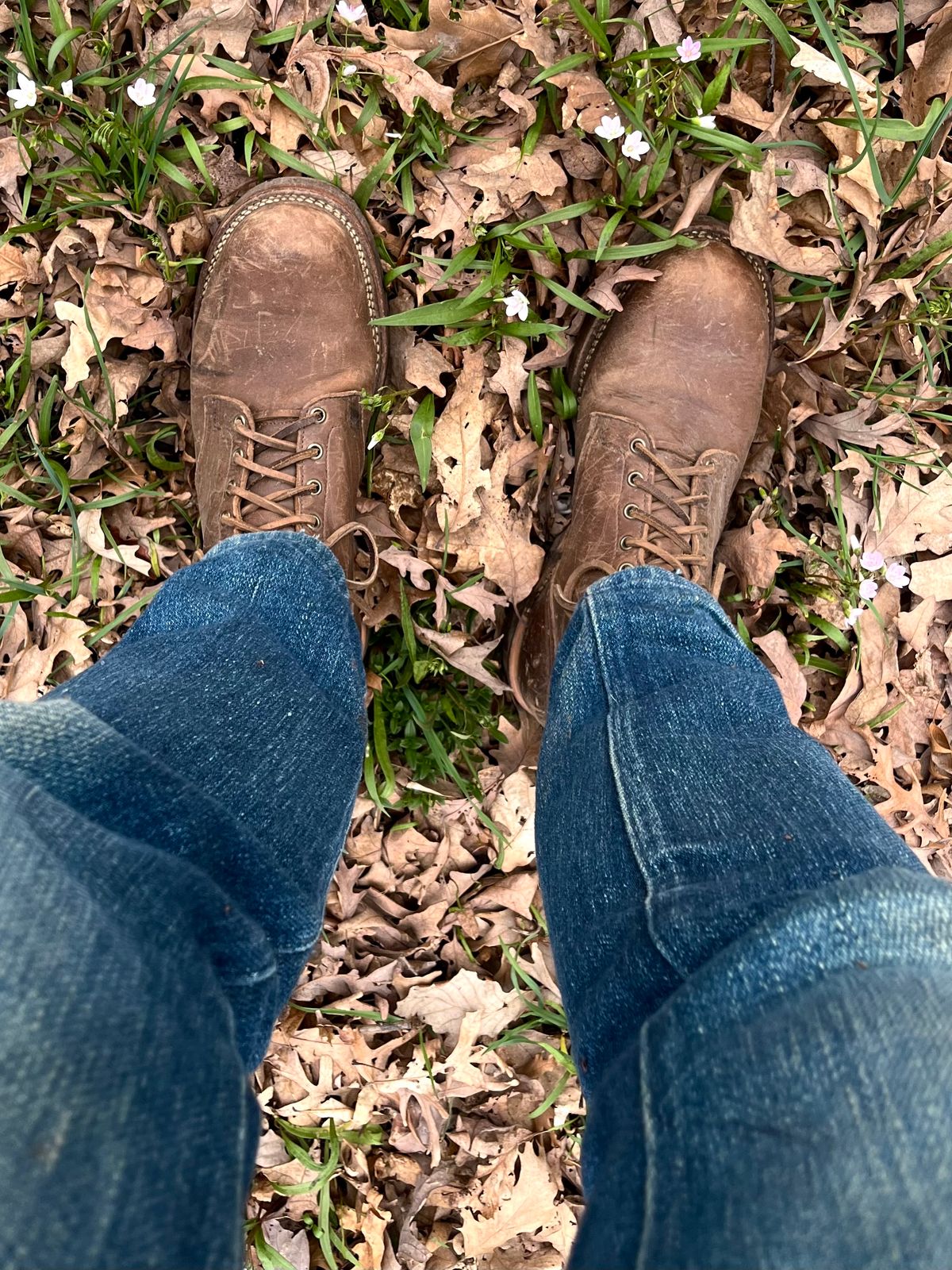 Photo by varnu on April 14, 2024 of the Viberg Service Boot in Icy Mocha Chromexcel.