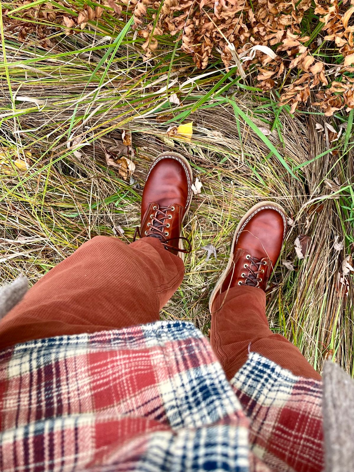 Photo by varnu on October 5, 2023 of the Nicks Free Range in Wickett & Craig Tan Oiled Latigo.