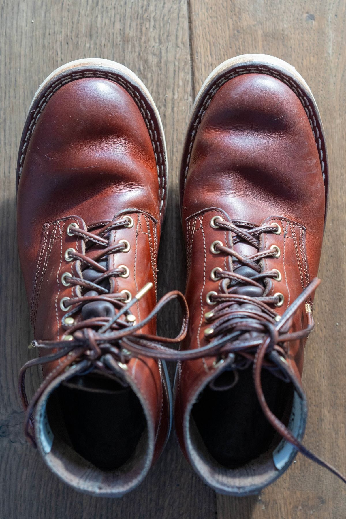 Photo by varnu on November 2, 2023 of the Nicks Free Range in Wickett & Craig Tan Oiled Latigo.