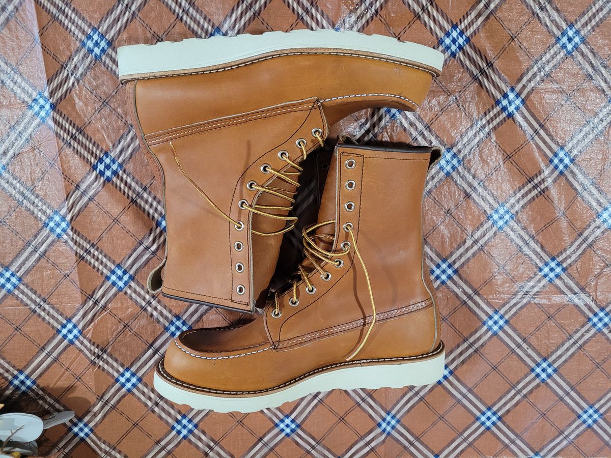 Photo by hicksmat on October 1, 2022 of the Red Wing 8-Inch Classic Moc in S.B. Foot Oro Legacy.