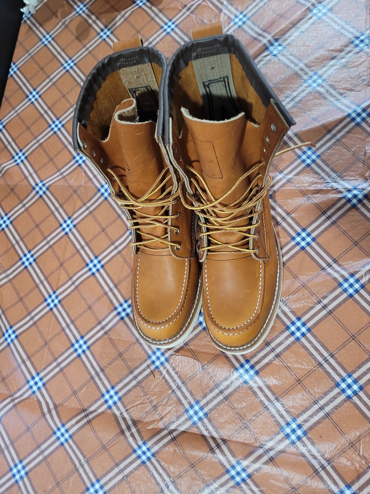 Photo by hicksmat on October 1, 2022 of the Red Wing 8-Inch Classic Moc in S.B. Foot Oro Legacy.