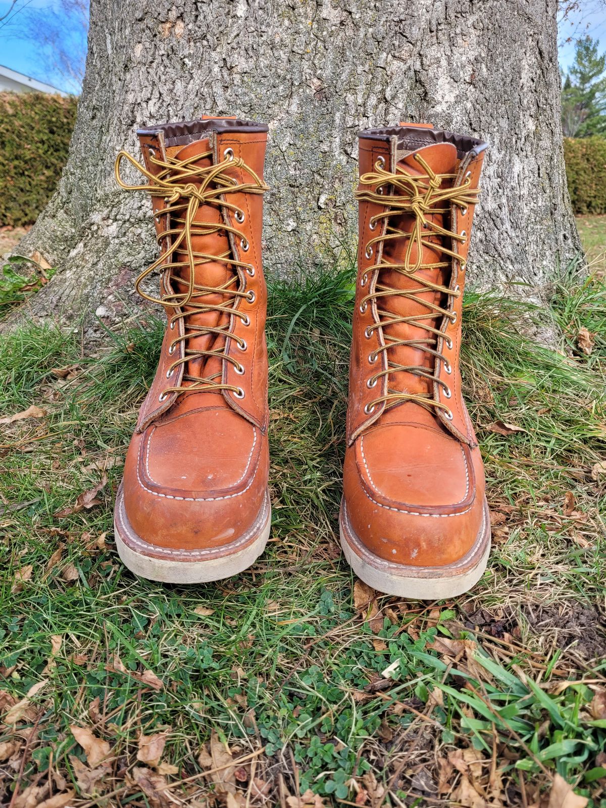 Photo by hicksmat on November 4, 2022 of the Red Wing 8-Inch Classic Moc in S.B. Foot Oro Legacy.