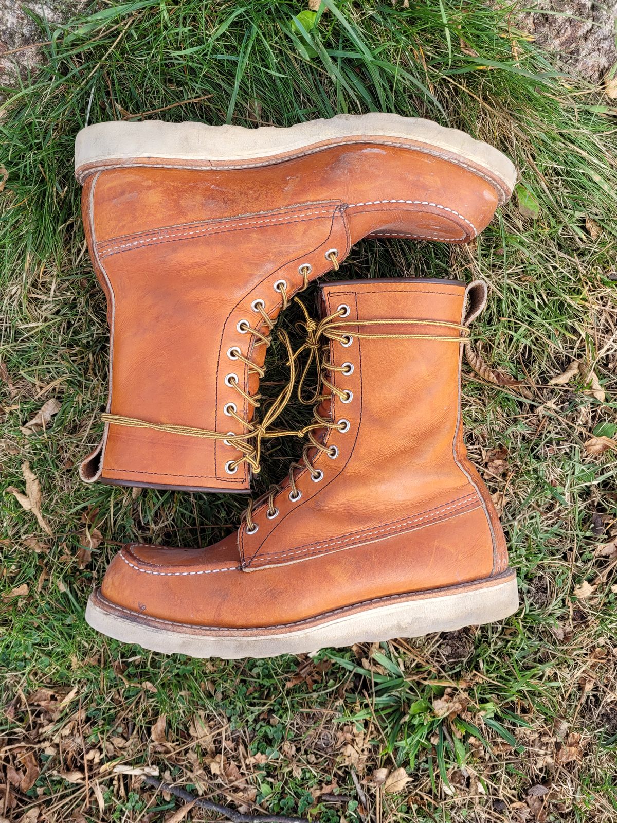 Photo by hicksmat on November 4, 2022 of the Red Wing 8-Inch Classic Moc in S.B. Foot Oro Legacy.