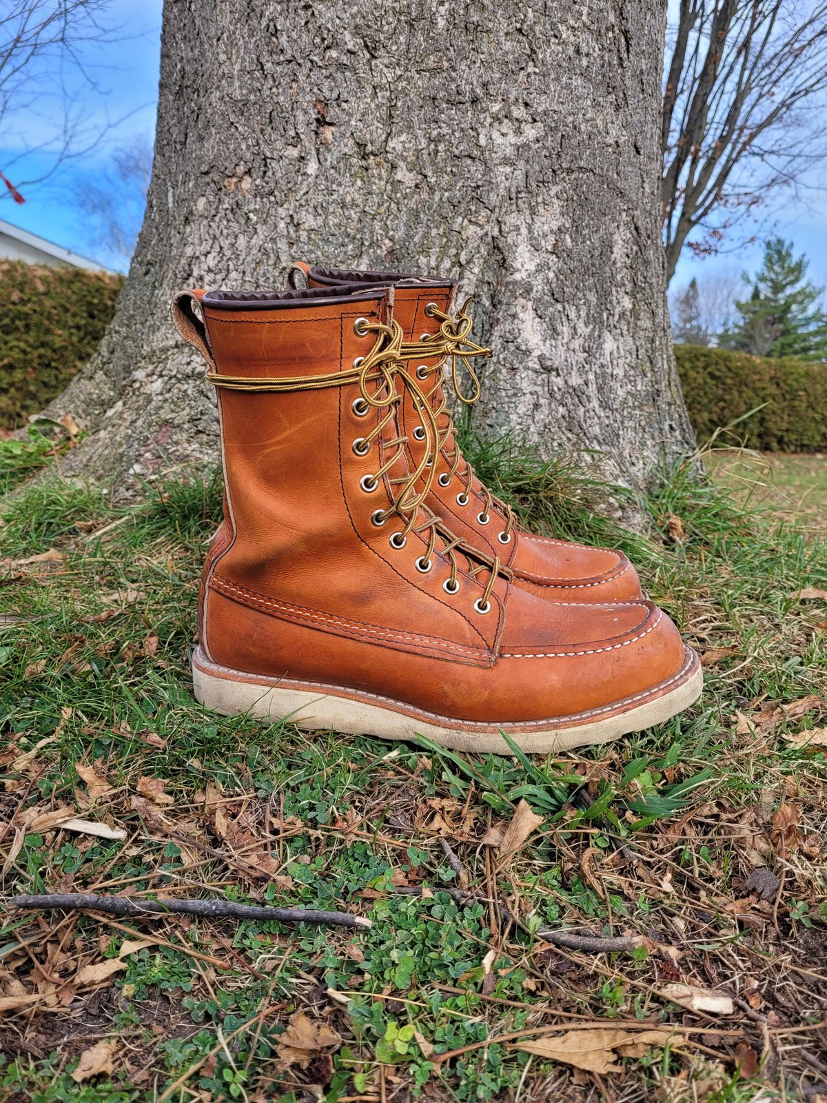 Photo by hicksmat on November 4, 2022 of the Red Wing 8-Inch Classic Moc in S.B. Foot Oro Legacy.