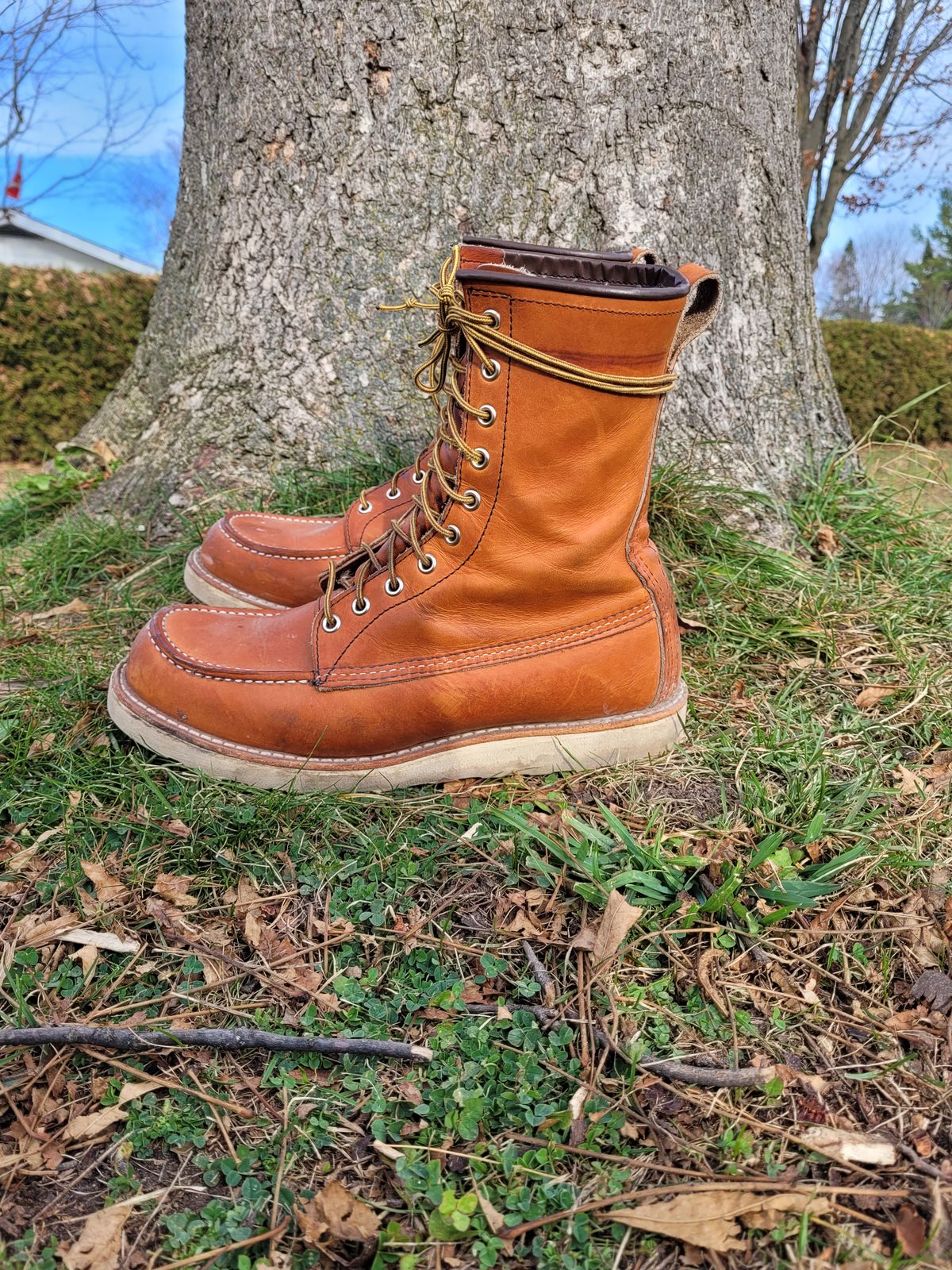 Photo by hicksmat on November 4, 2022 of the Red Wing 8-Inch Classic Moc in S.B. Foot Oro Legacy.