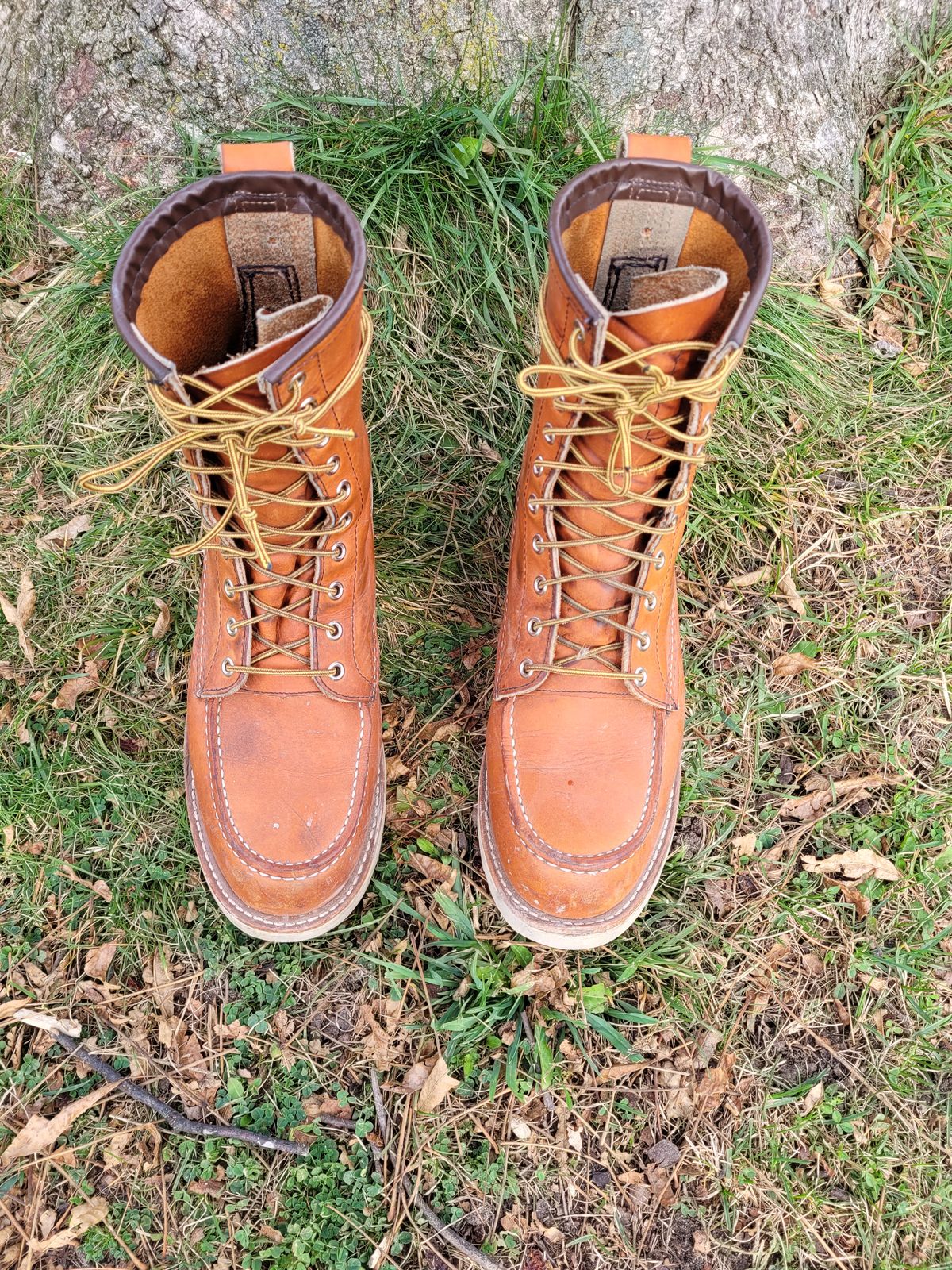 Photo by hicksmat on November 4, 2022 of the Red Wing 8-Inch Classic Moc in S.B. Foot Oro Legacy.