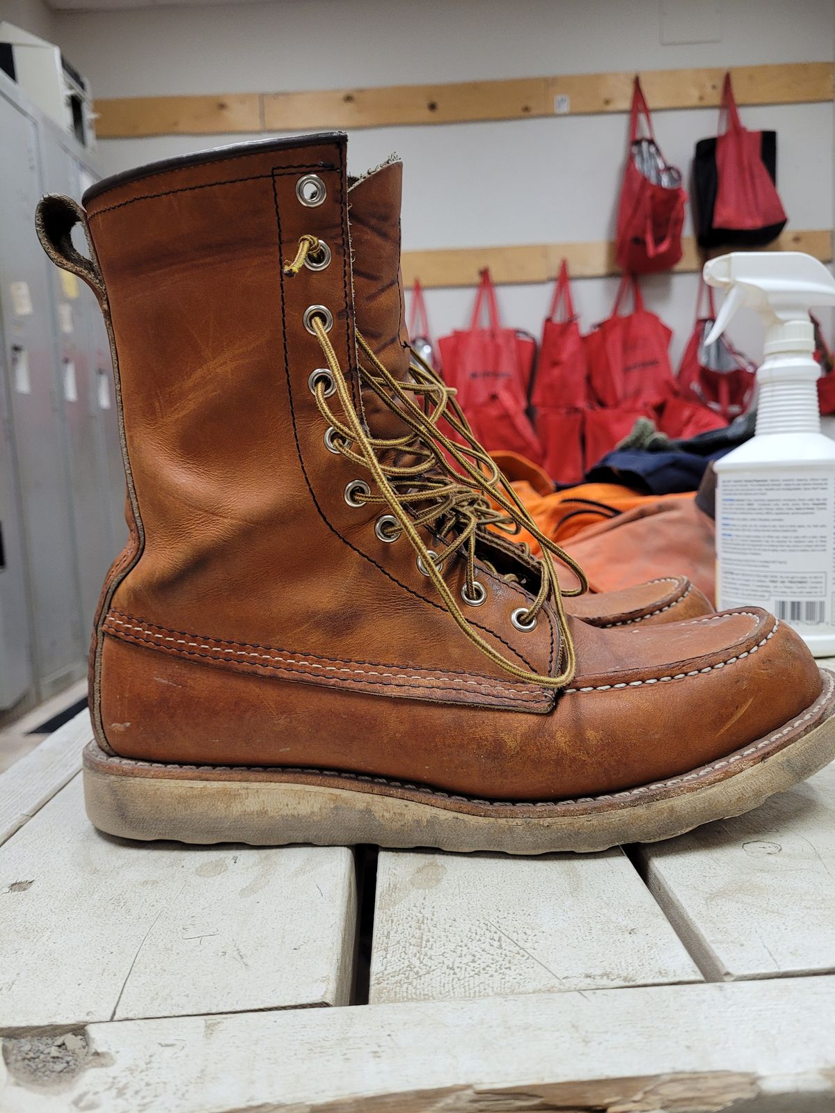 Photo by hicksmat on December 5, 2022 of the Red Wing 8-Inch Classic Moc in S.B. Foot Oro Legacy.