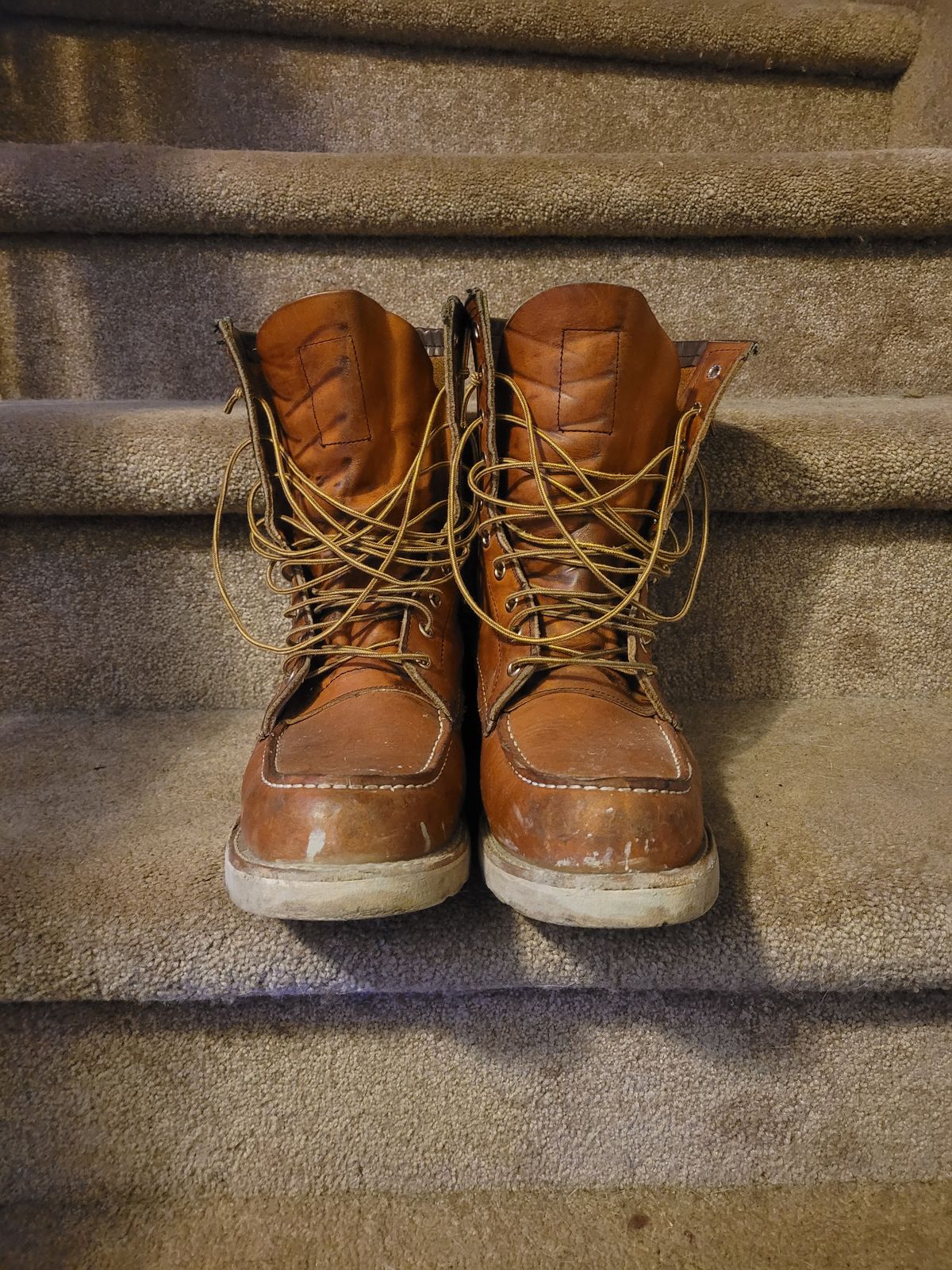 Photo by hicksmat on January 6, 2023 of the Red Wing 8-Inch Classic Moc in S.B. Foot Oro Legacy.