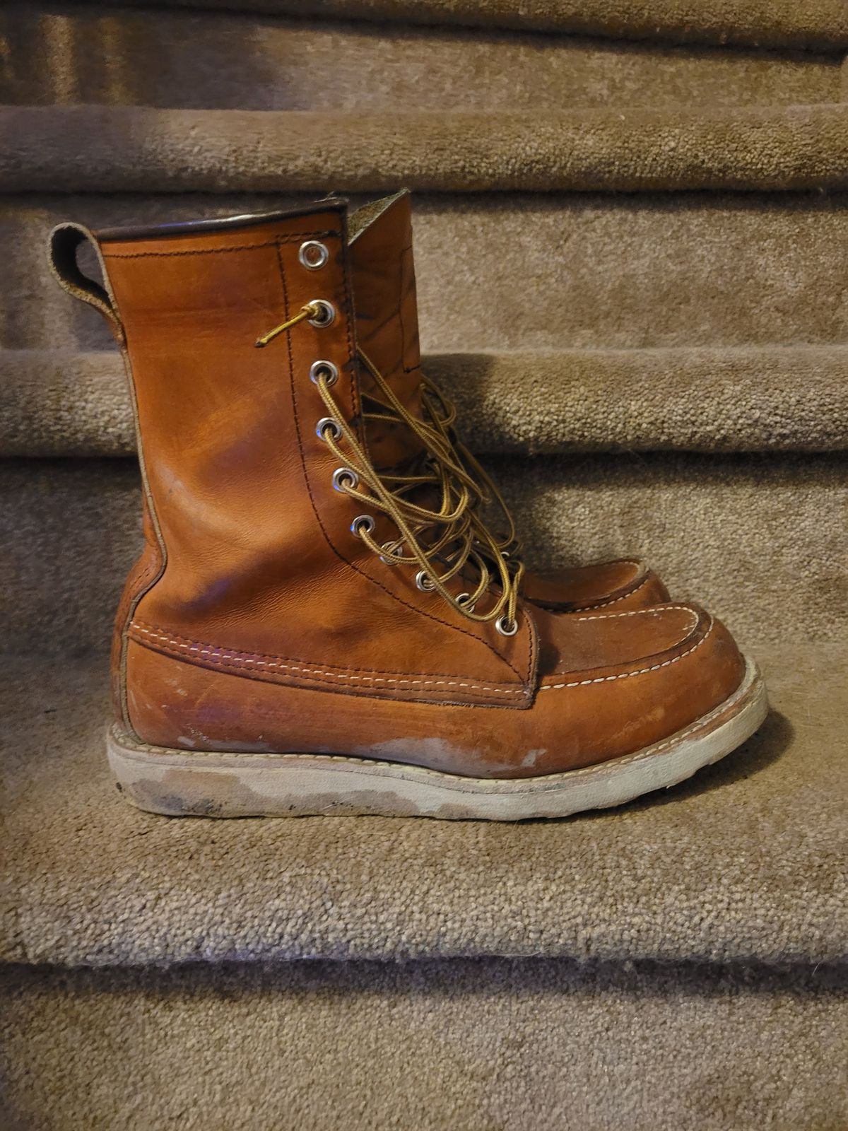 Photo by hicksmat on January 6, 2023 of the Red Wing 8-Inch Classic Moc in S.B. Foot Oro Legacy.