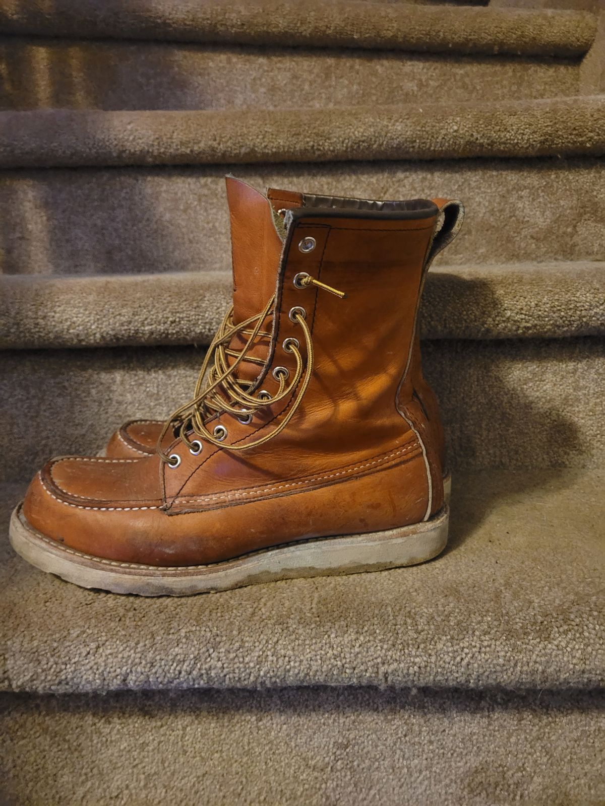 Photo by hicksmat on January 6, 2023 of the Red Wing 8-Inch Classic Moc in S.B. Foot Oro Legacy.