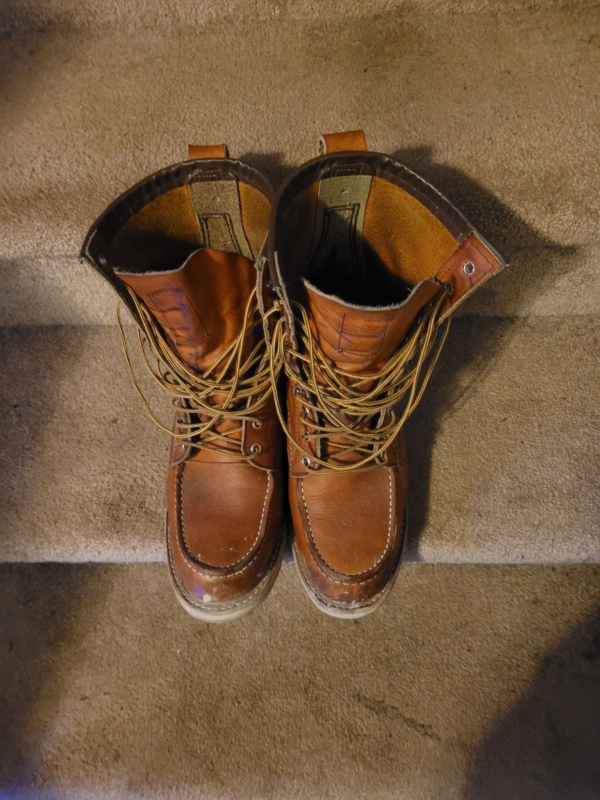 Photo by hicksmat on January 6, 2023 of the Red Wing 8-Inch Classic Moc in S.B. Foot Oro Legacy.