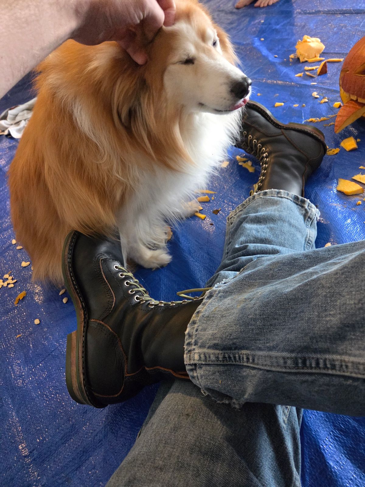 Photo by Schmittworks on October 25, 2025 of the Schmittworks Sw919 in Canyon Black By Sb Foot.