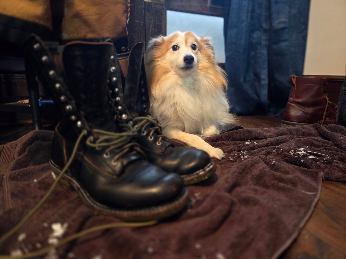 Photo by Schmittworks on January 25, 2026 of the Schmittworks Sw919 in Canyon Black By Sb Foot.