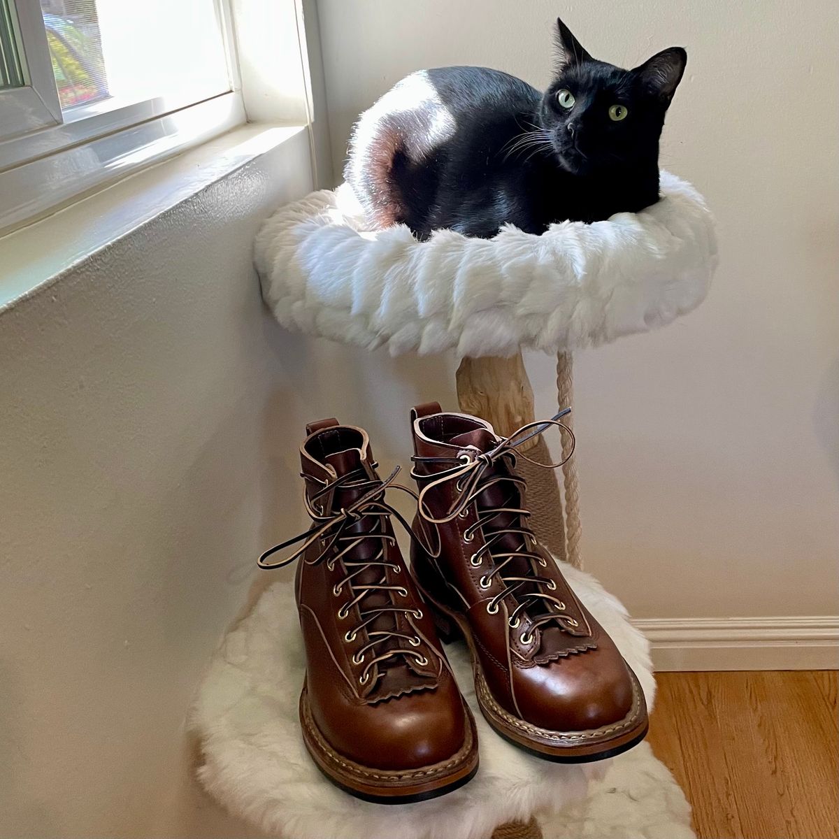 Photo by leumas on October 1, 2023 of the White's x Division Road LTT Lineman 350 in Horween British Tan Chromexcel.