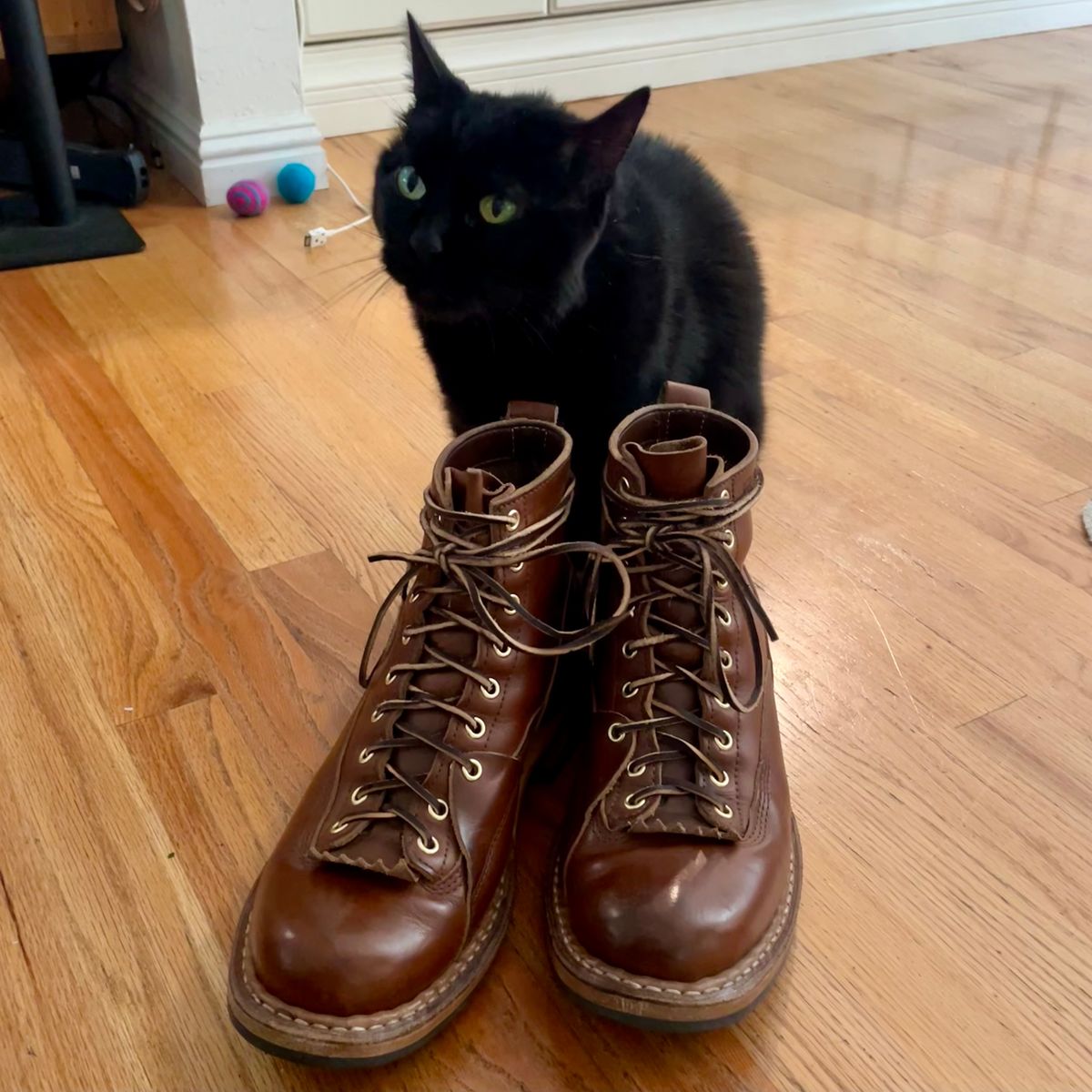 Photo by leumas on November 1, 2023 of the White's x Division Road LTT Lineman 350 in Horween British Tan Chromexcel.