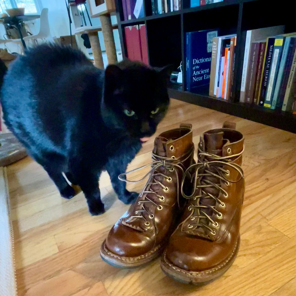 Photo by leumas on March 5, 2024 of the White's x Division Road LTT Lineman 350 in Horween British Tan Chromexcel.