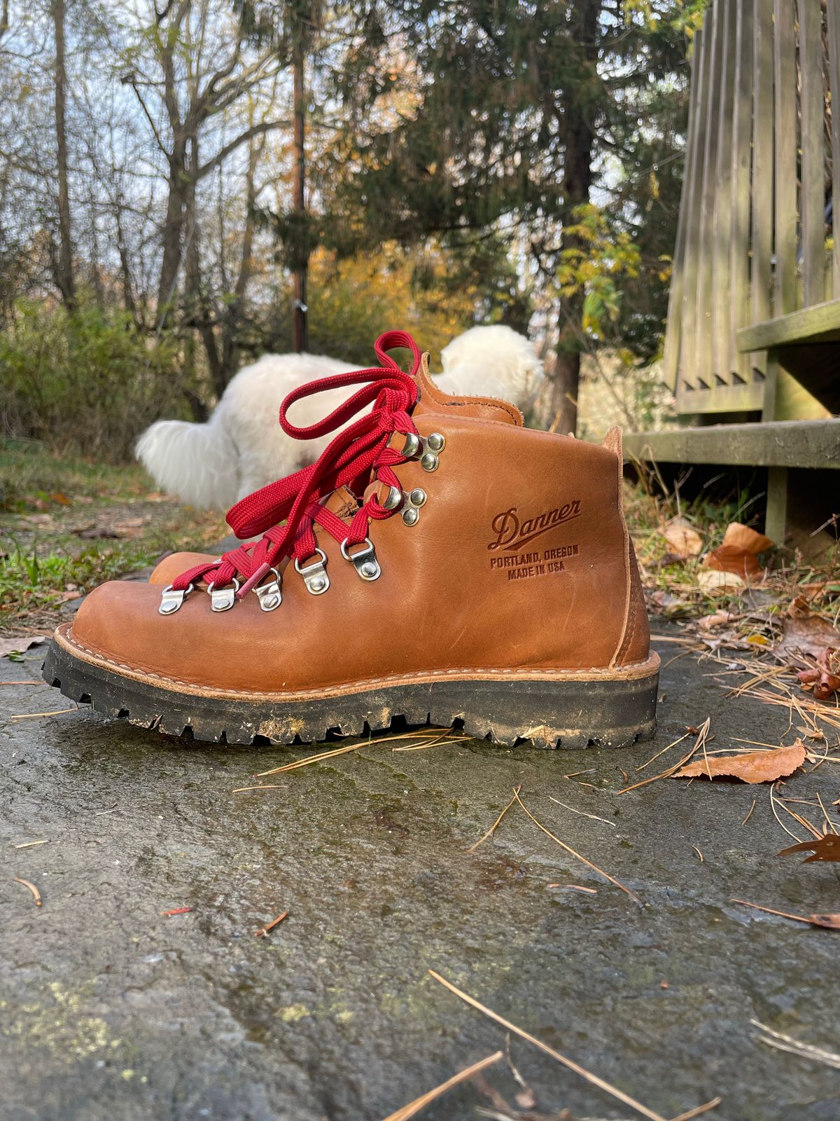 Photo by sarquat on November 5, 2022 of the Danner Mountain Light in Cascade Clovis Full Grain.