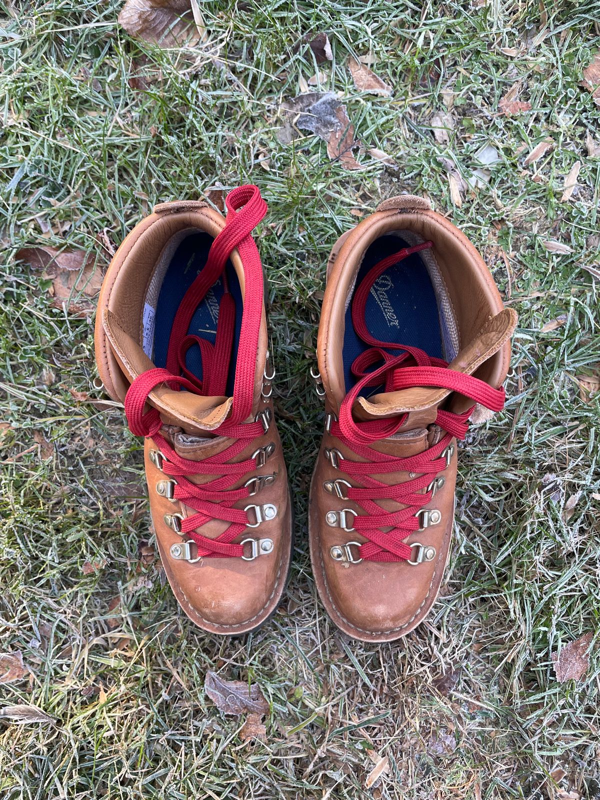 Photo by sarquat on December 5, 2022 of the Danner Mountain Light in Cascade Clovis Full Grain.